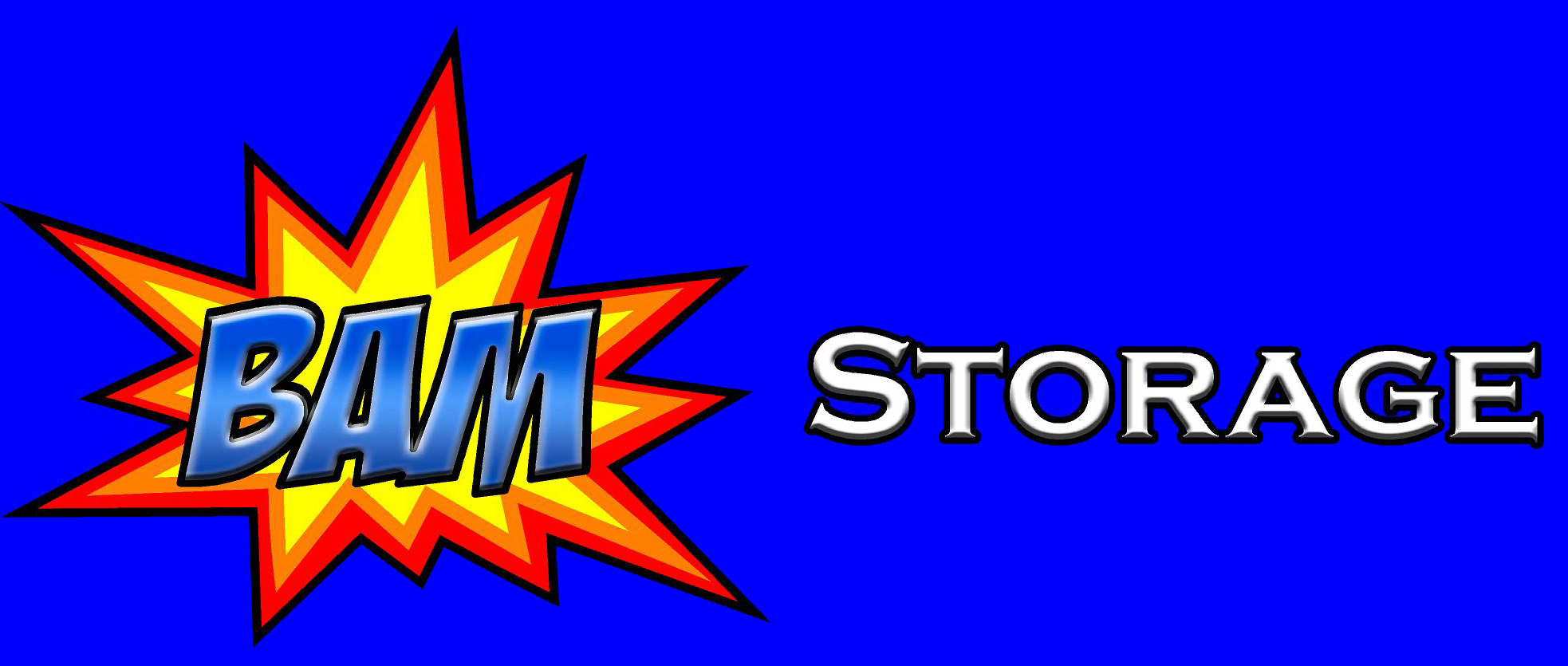 BAM Storage Logo